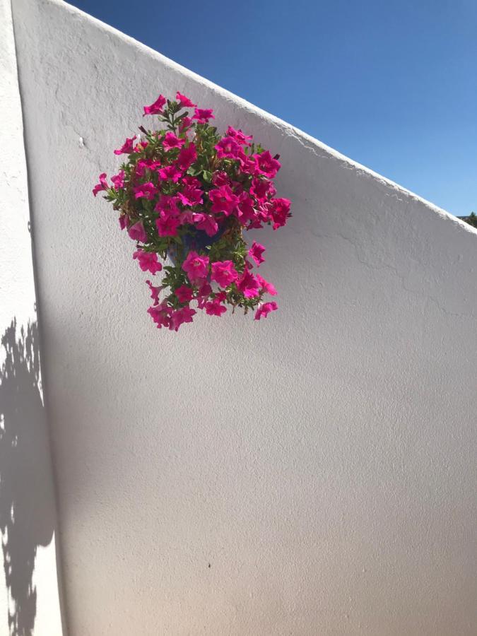 Bonita Casa Adosada Empuriabrava Eksteriør billede