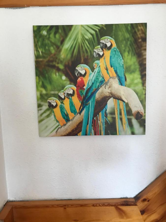 Bonita Casa Adosada Empuriabrava Eksteriør billede